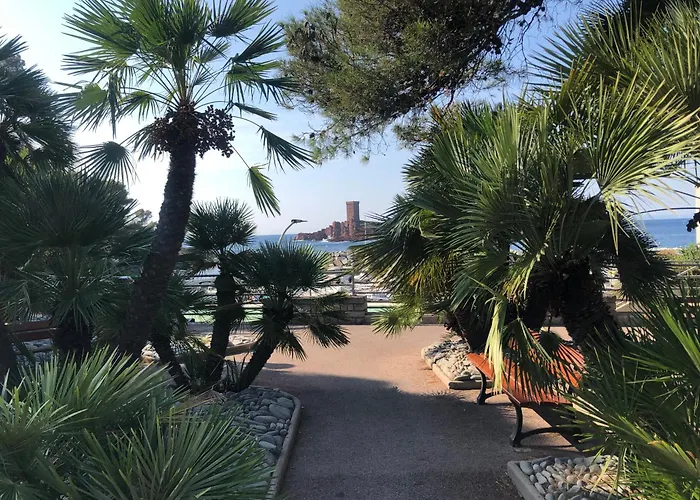 Et Parking A 300m De La De Fréjus