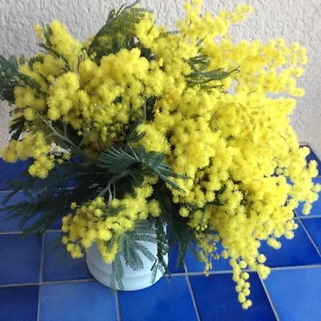 Et Parking A 300m De La De Fréjus