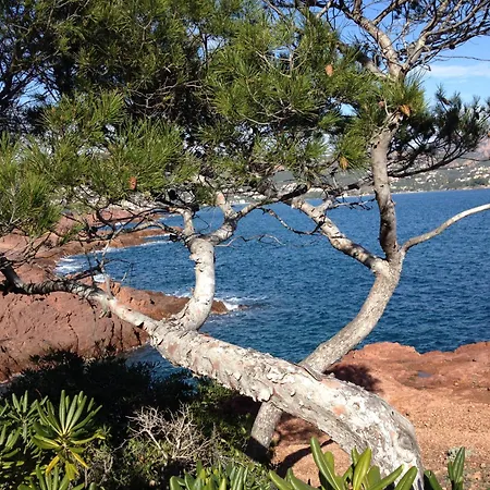 Et Parking A 300m De La De Apartment Frejus